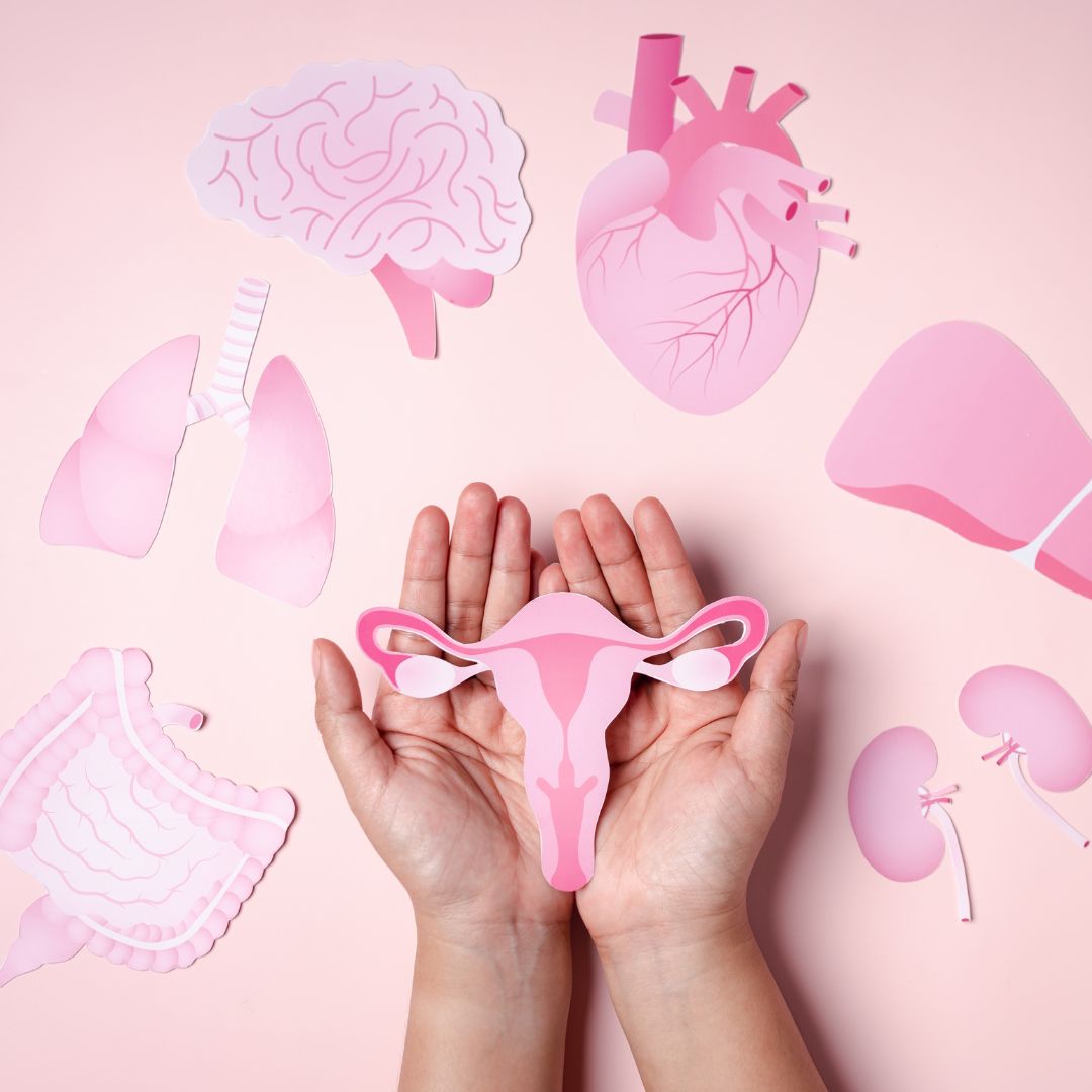 Diagram showing inflammation in the body and how it impacts hormones in PCOS.